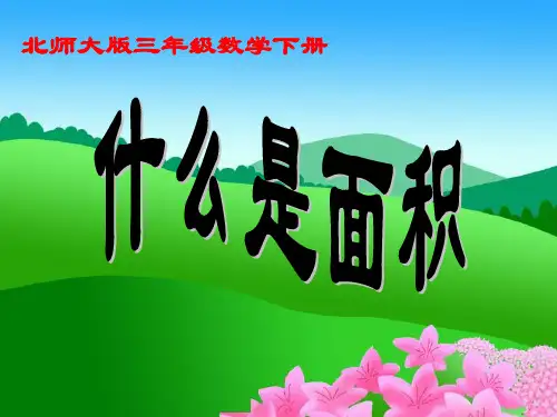 《什么是面积》-(1)PPT课件