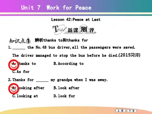 【冀教版】九年级英语上册Lesson 42Peace at Last课件祥解
