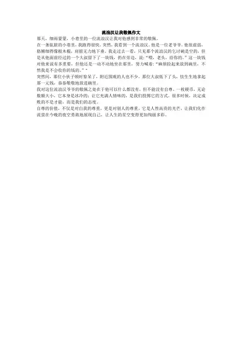 流浪汉让我敬佩作文