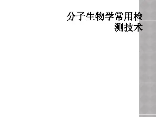 分子生物学常用检测技术