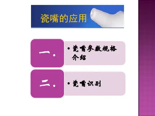 瓷嘴课件