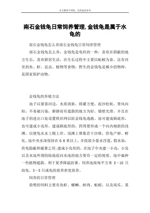 南石金钱龟日常饲养管理,金钱龟是属于水龟的