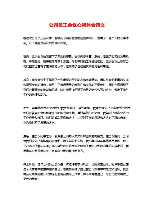 公司员工会议心得体会范文