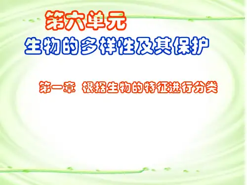 第一节尝试对生物进行分类课件