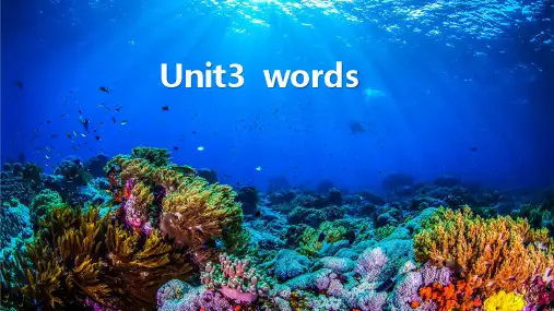 人教版新课标选修七 Unit3 Under the sea 单词精讲课件