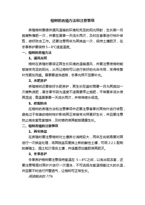榕树的养殖方法和注意事项