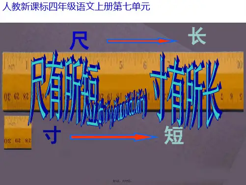 28尺有所短--寸有所长ppt(共17张)
