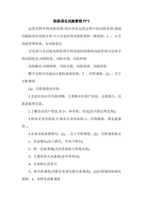 最新担保项目风险管理PPT