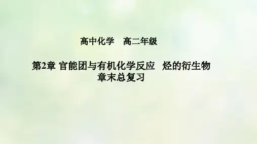 高二生物 第二章 烃的衍生物知识串讲