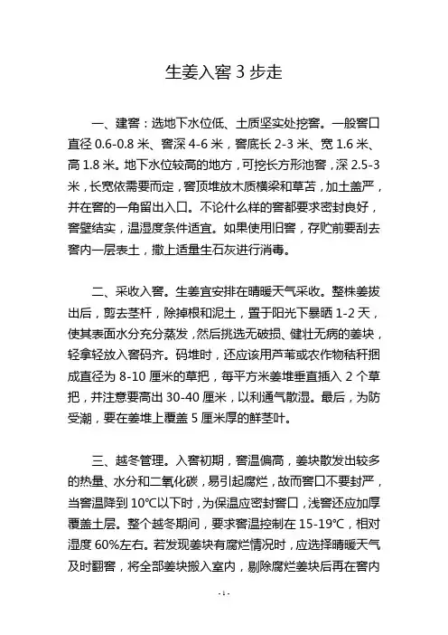 生姜入窖3步走