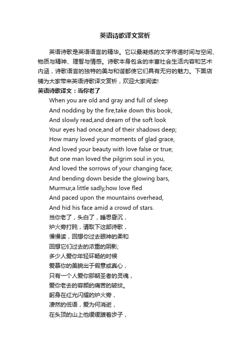 英语诗歌译文赏析