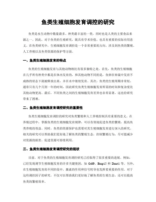 鱼类生殖细胞发育调控的研究