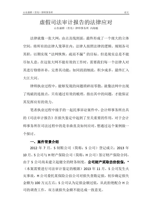 虚假司法审计报告的法律应对