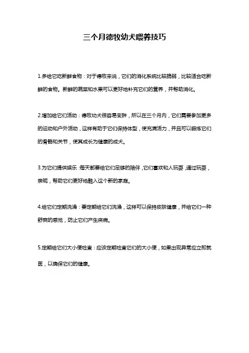 三个月德牧幼犬喂养技巧