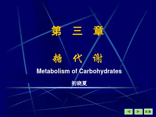 糖代谢-课件(PPT演示)