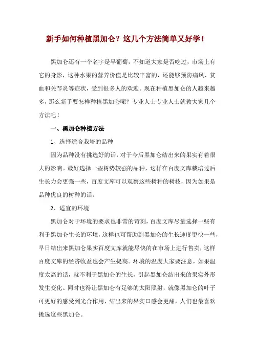 新手如何种植黑加仑？这几个方法简单又好学!