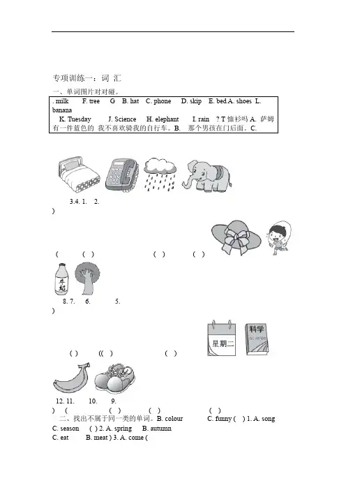 外研版小学英语三起点三年级下册期末专项训练试题全套