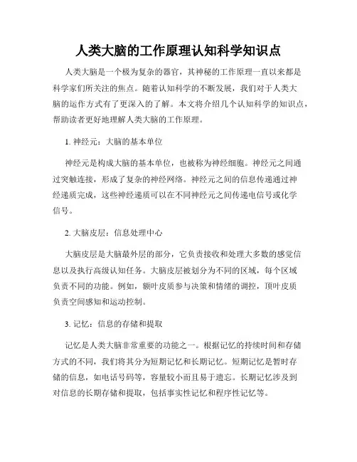 人类大脑的工作原理认知科学知识点