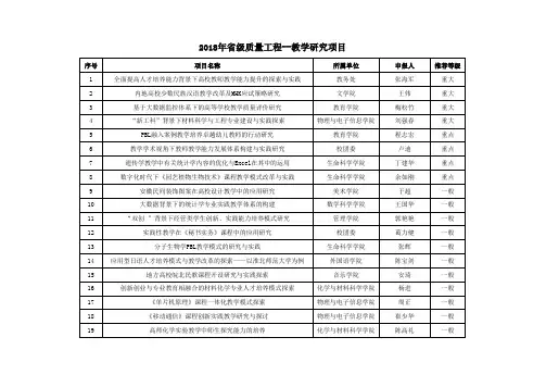 2018年级质量工程项目