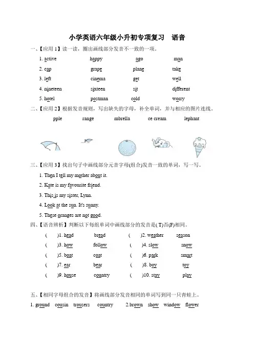 小学英语六年级小升初专项复习训练题-语音(附答案)