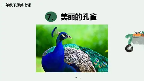 《美丽孔雀》PPT课件