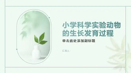 小学科学实验动物的生长发育过程