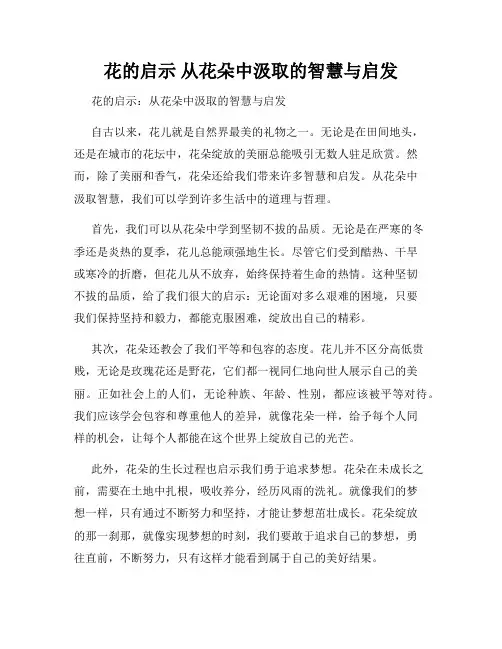 花的启示 从花朵中汲取的智慧与启发