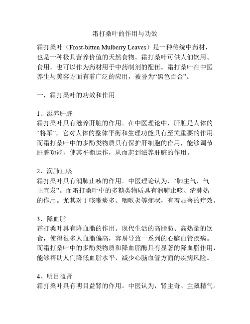 霜打桑叶的作用与功效