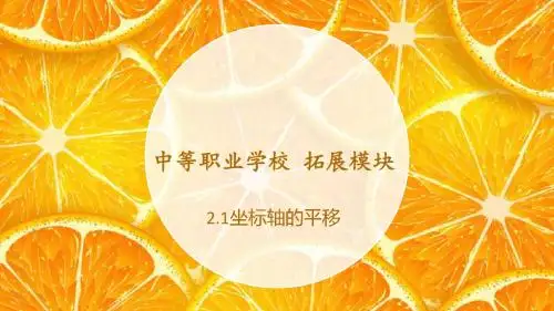 坐标轴的平移说课ppt