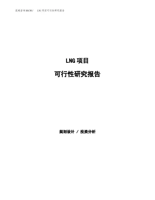 2020年LNG项目可行性研究报告