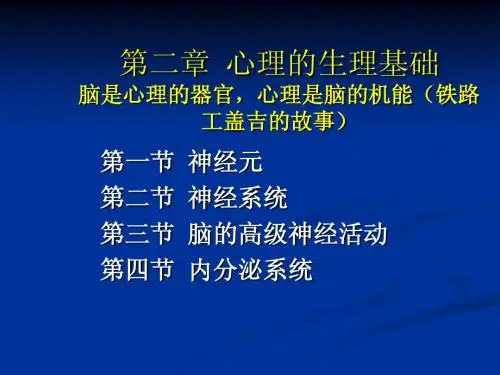第二章 心理的生理基础