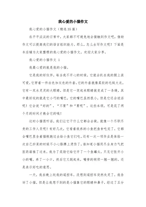 我心爱的小猫作文