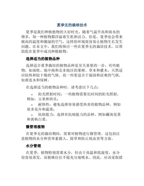 夏季无的栽培技术