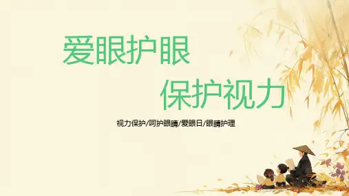 爱眼护眼,保护视力课件ppt