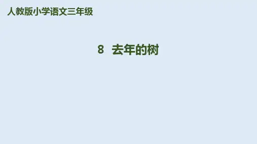 三年级上册语文课件-8去年的树 人教部编版(共13张PPT)