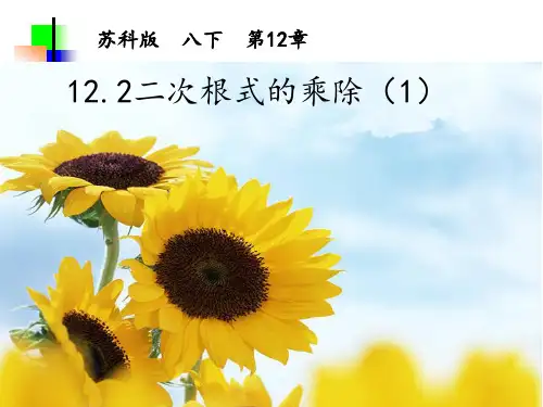 苏科版八年级下册数学《12.2二次根式的乘除》课件