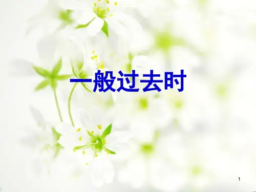 一般过去时、过去进行时、过去完成时(课堂PPT)