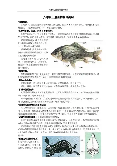 人教版八年级上册生物地理历史复习提纲