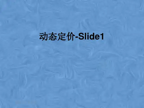 动态定价-Slide1