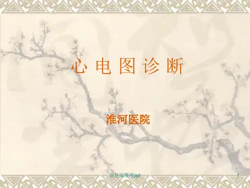心电图心电向量详细讲解ppt课件