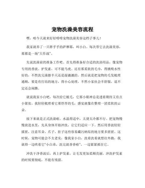 宠物洗澡美容流程