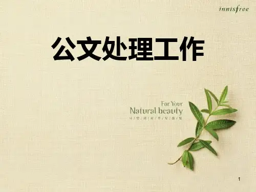党政公文处理PPT课件