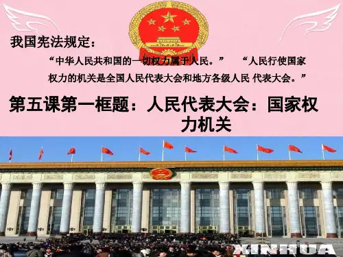 高中政治 政治生活第五课第一框课件 新人教版必修2