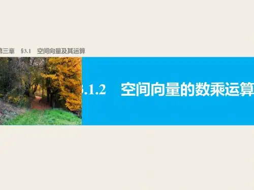 高二数学人教A选修2-1课件：第三章 空间向量与立体几何 3.1.2