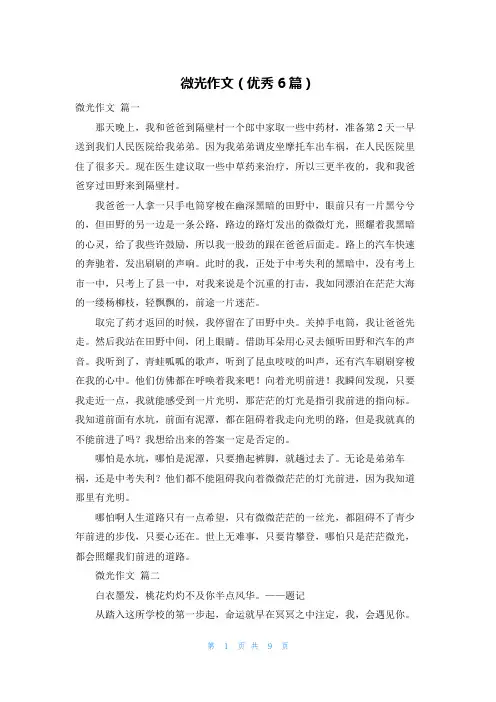 微光作文(优秀6篇)