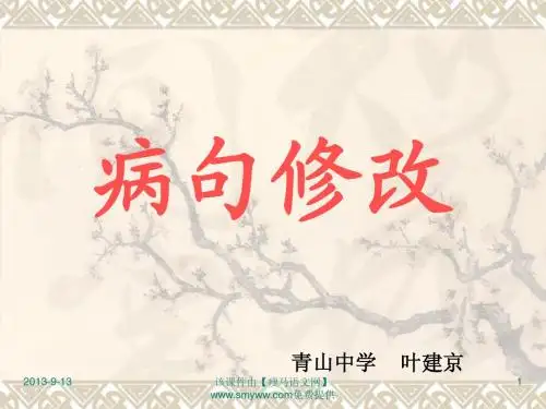 高考语文：《病句修改》专题复习ppt课件