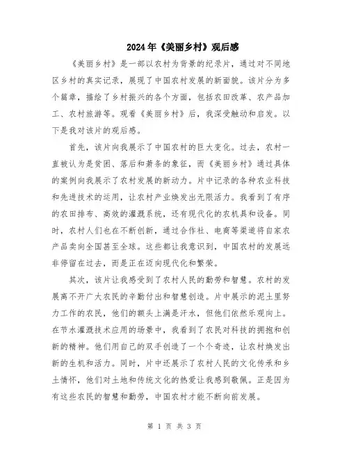 2024年《美丽乡村》观后感