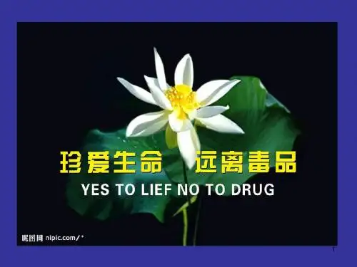 药物滥用与药物依赖性
