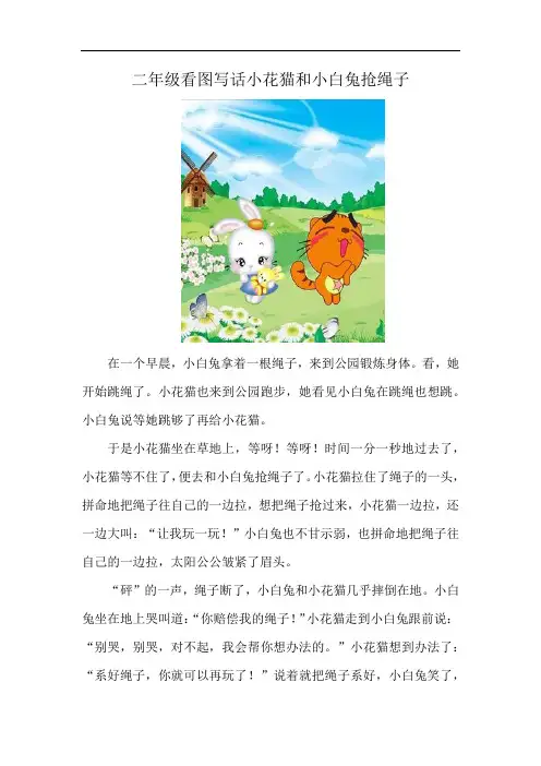 二年级看图写话小花猫和小白兔抢绳子