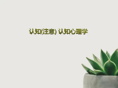 认知(注意) 认知心理学39页PPT